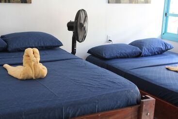 پانسیون Tortuguero Hostel & Backpackers