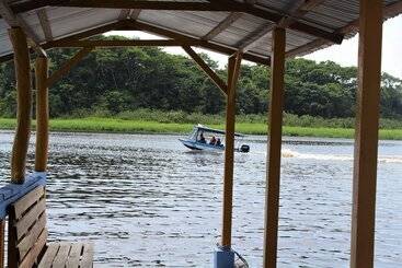 پانسیون Tortuguero Hostel & Backpackers