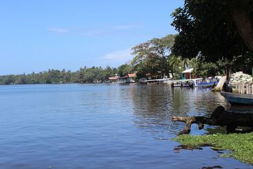 پانسیون Tortuguero Hostel & Backpackers