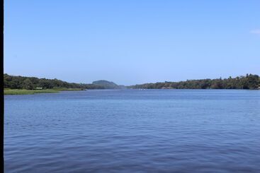 پانسیون Tortuguero Hostel & Backpackers