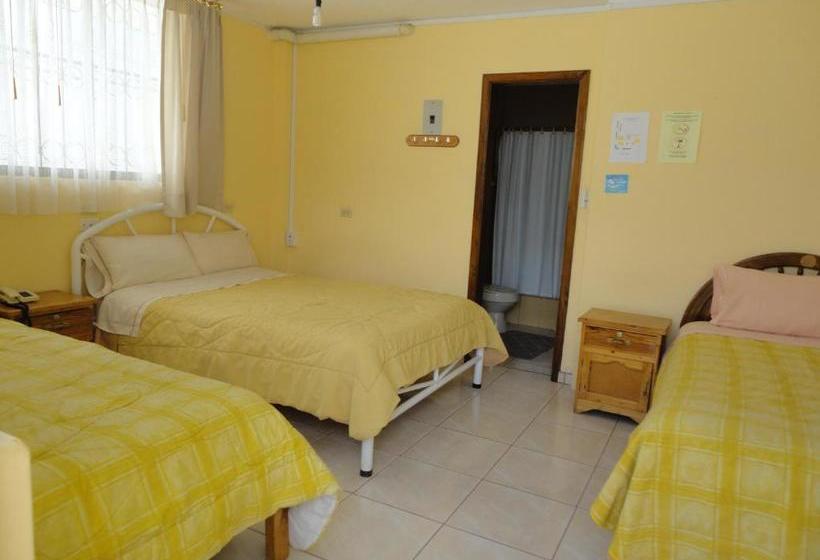 بنسيون Hostal El Sol De Cayambe