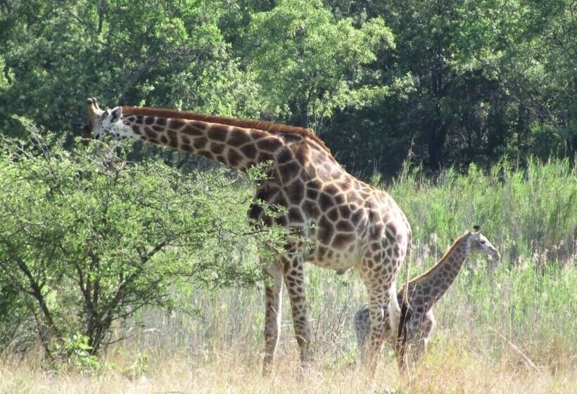 بنسيون La Barune Game Lodge