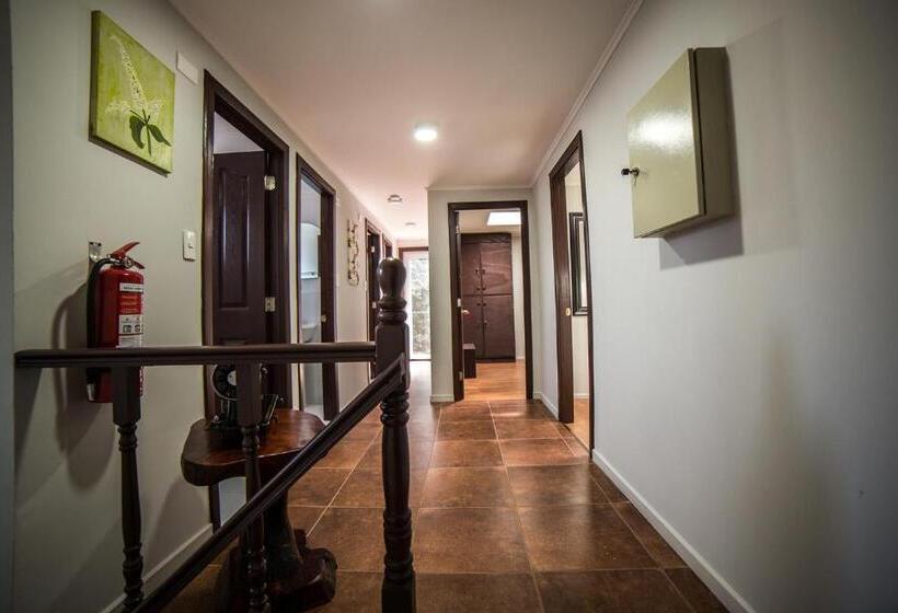 پانسیون Hostel Chaman