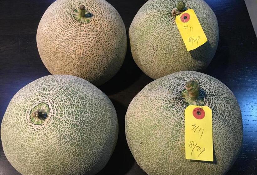 פנסיון Santari