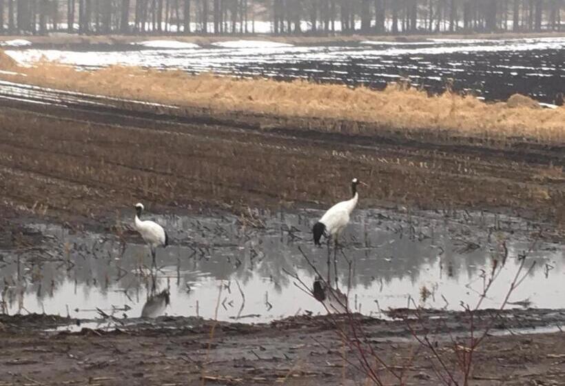 פנסיון Santari