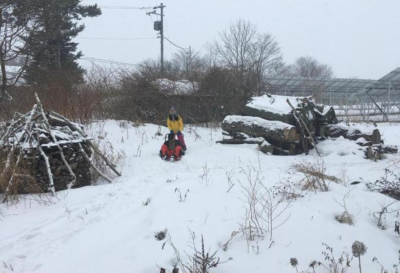 פנסיון Santari