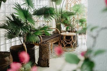 استراحتگاه Frangipani El Nido