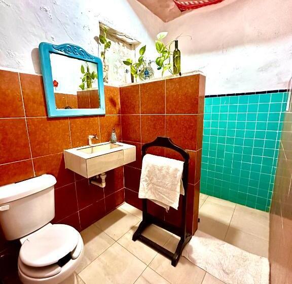 هاستل Hostal Guacamayas