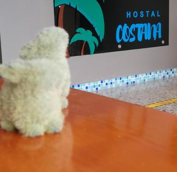 هاستل Costana Hostal