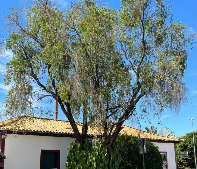 ペンション Pousada Travessia   Minas Gerais