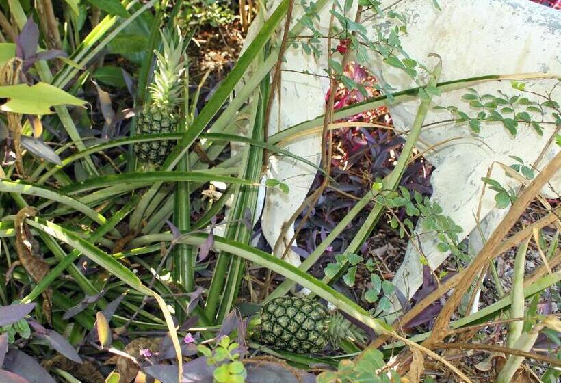 Heron Cay Lakeview Bed & Breakfast