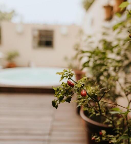 پانسیون Pousada Paty´s Garden