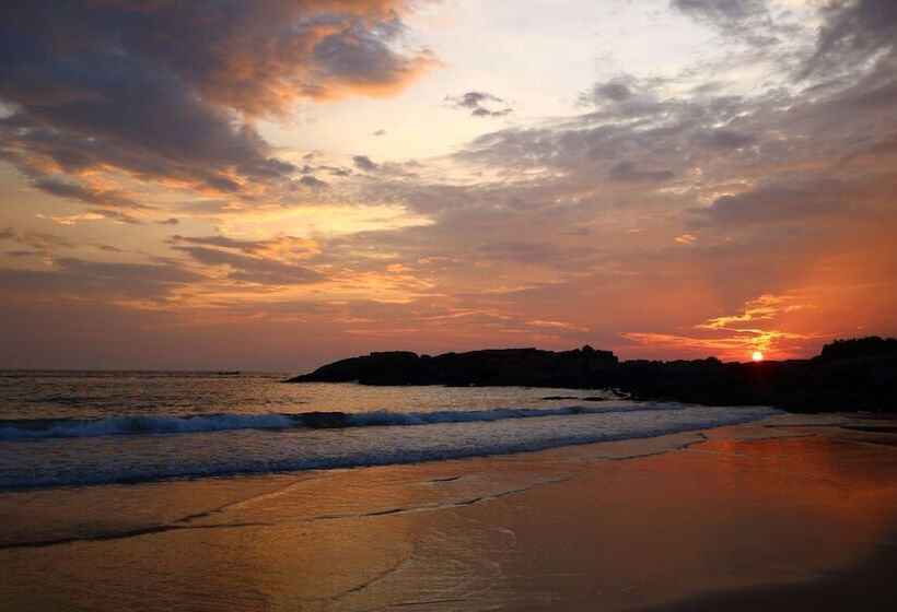 膳宿费 Villa Santa Maria