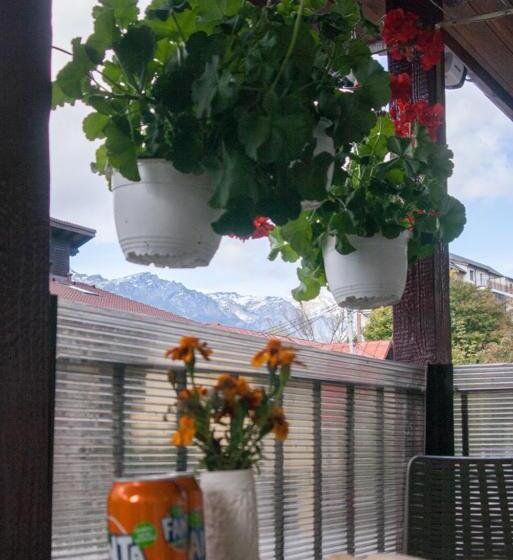 پانسیون Vila Cu Flori