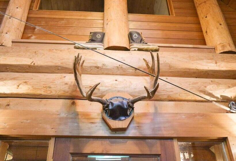 هاستل Canadian Loghouse Inn Azuminoyujin