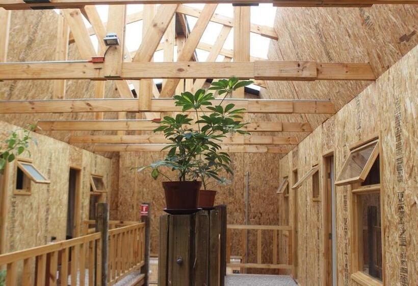 هاستل Hostal Baquedano