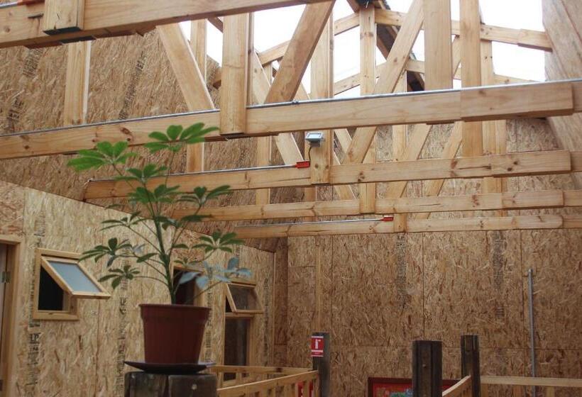 هاستل Hostal Baquedano