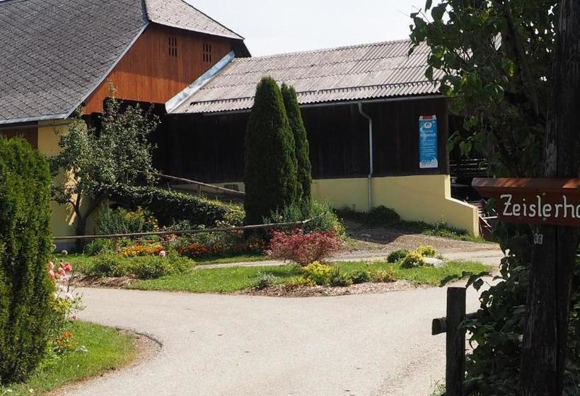 בית מלון כפרי Familienparadies Zeislerhof