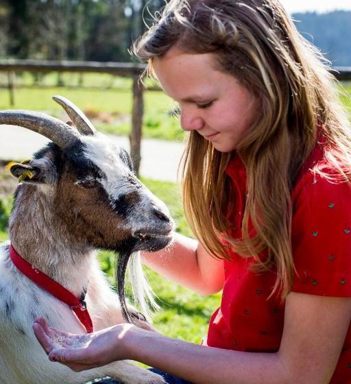 בית מלון כפרי Familienparadies Zeislerhof