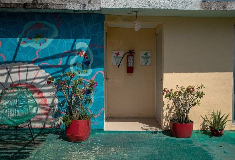 پانسیون Casa Wayak