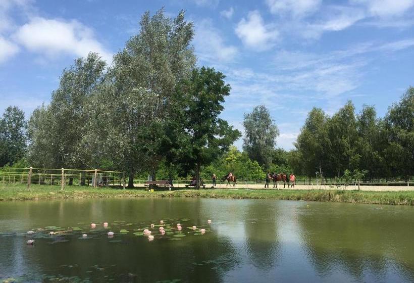 膳宿费 Mohácsi Wellness Vendégház és Lovasklub