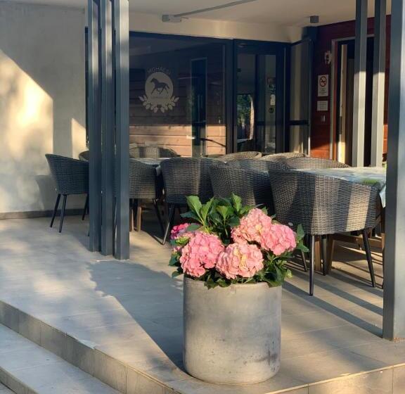 펜션 Mohácsi Wellness Vendégház és Lovasklub
