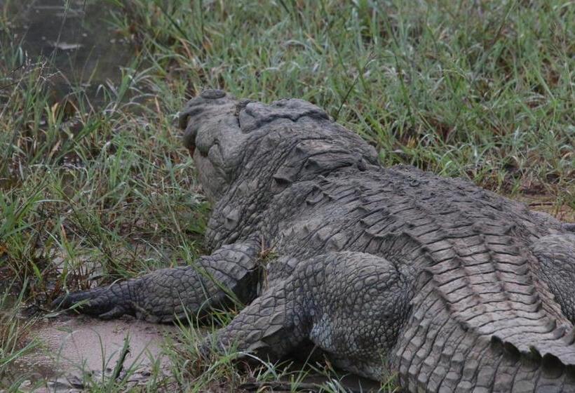 ペンション Lake Ibis