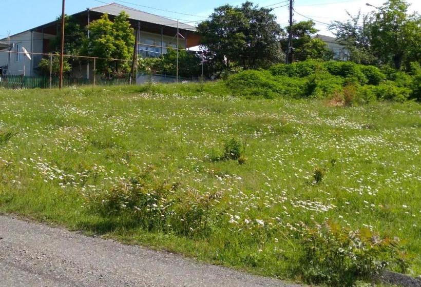 پانسیون Lakeside Green Balcony Home