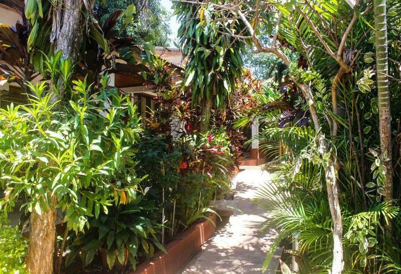 پانسیون Hospedaje Jose Gorgues