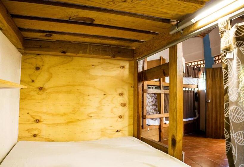 هاستل La Redonda Sayulita Hostal