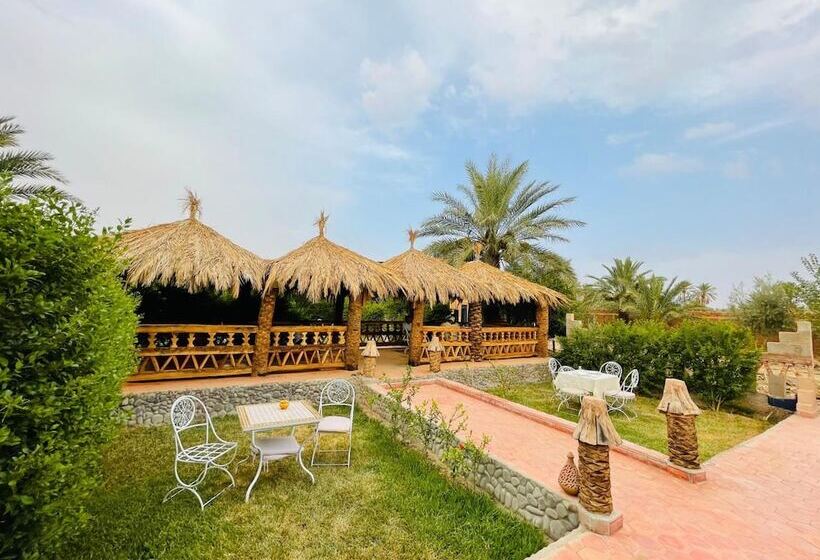 هاستل Paradis Touareg