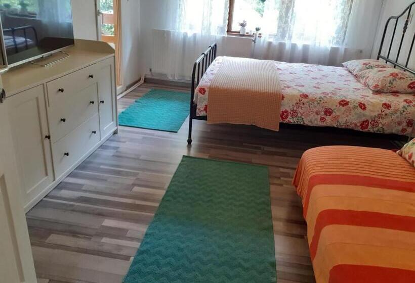 بنسيون Casa Maia Dambovicioara