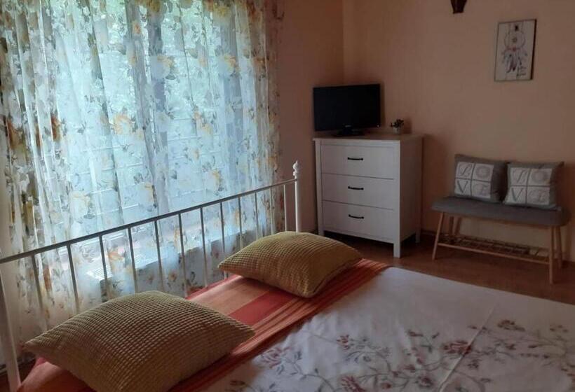 بنسيون Casa Maia Dambovicioara