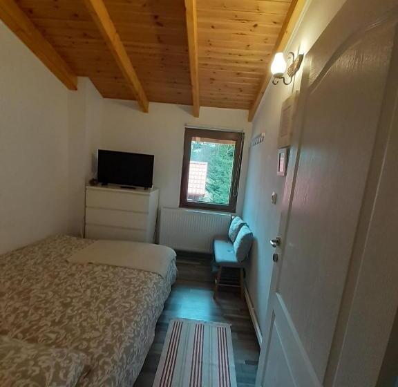 بنسيون Casa Maia Dambovicioara