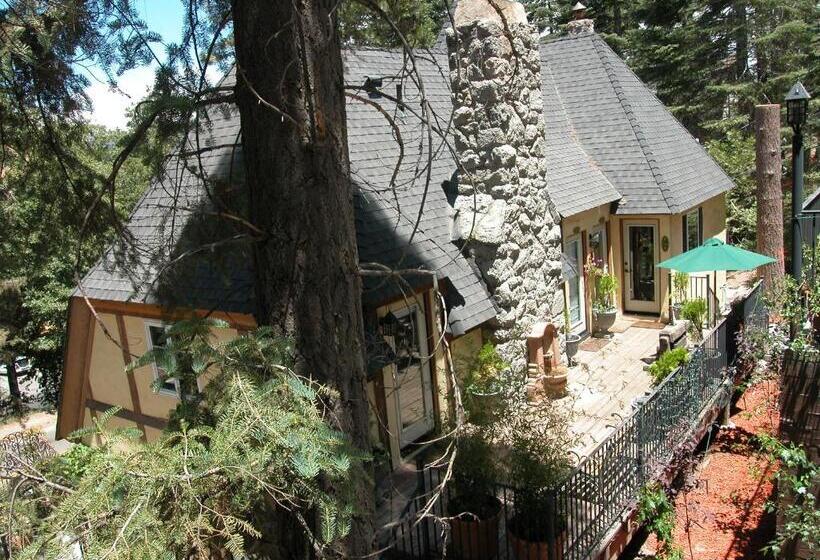 פנסיון Fleur De Lac Europeran Inn