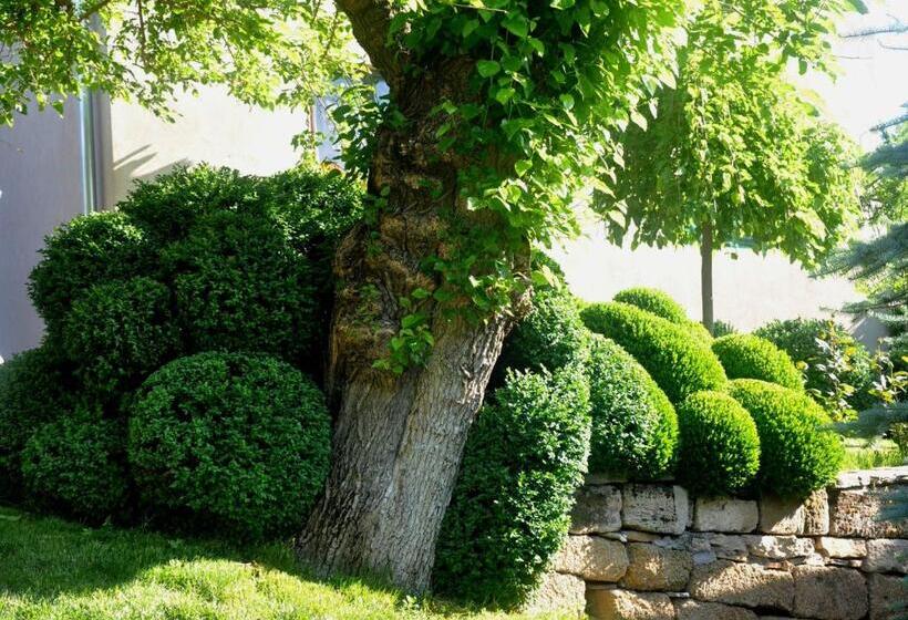 پانسیون Guesthouse Djurić