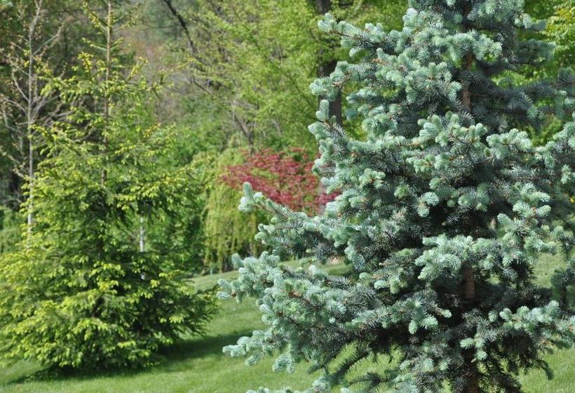 پانسیون Guesthouse Djurić