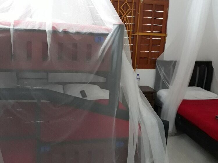 پانسیون Hostal Cocobomgo