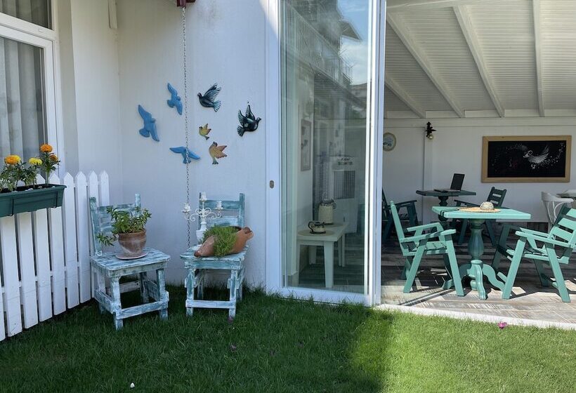 Grandma S Garden