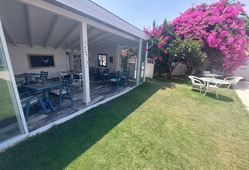 Grandma S Garden