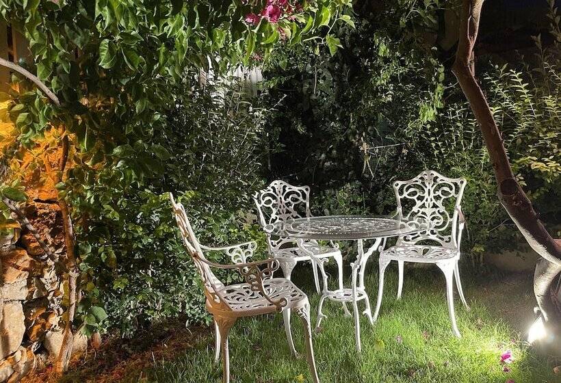 Grandma S Garden