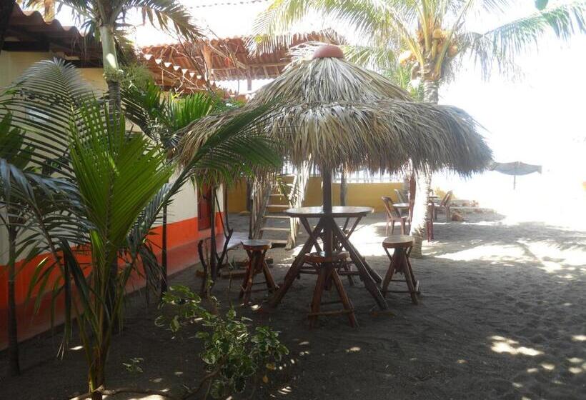 膳宿费 Beach Hostal Oasis