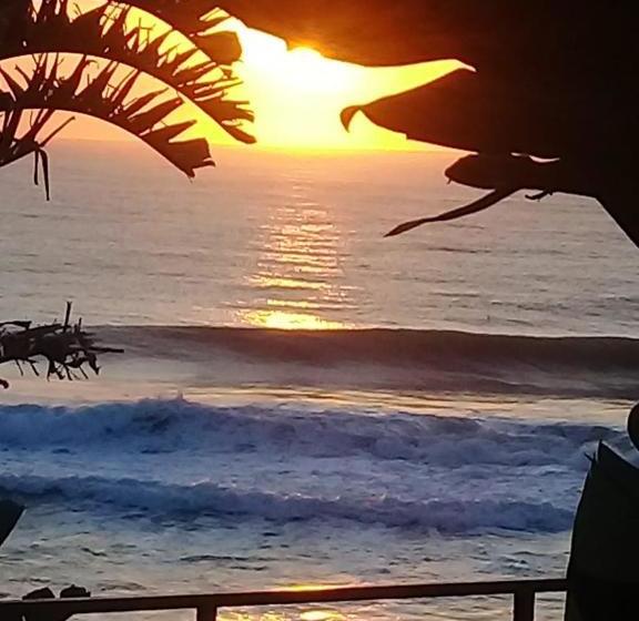 بنسيون Dolphin Coast Guesthouse