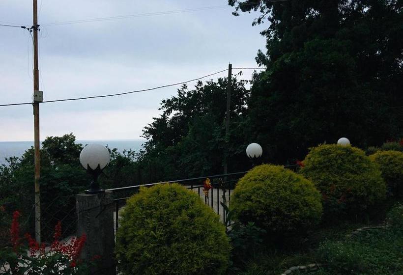 پانسیون Rezo's House