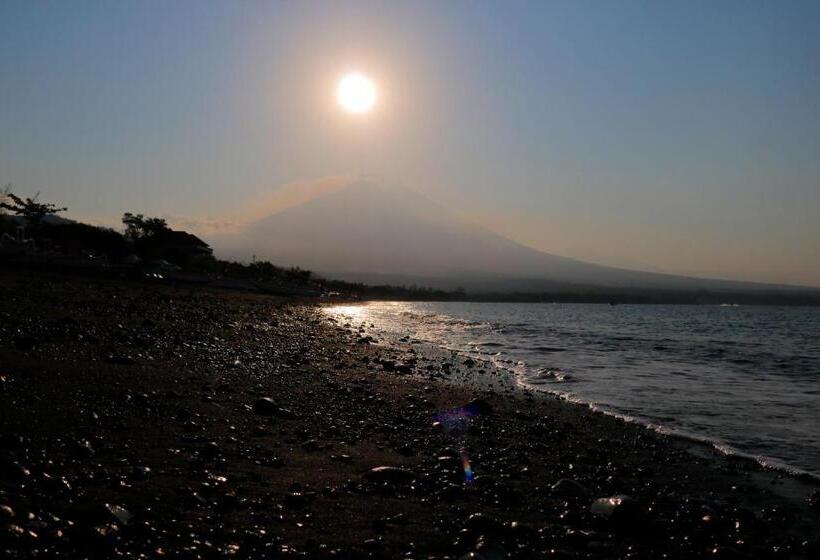 膳宿费 Valomia Beachfront