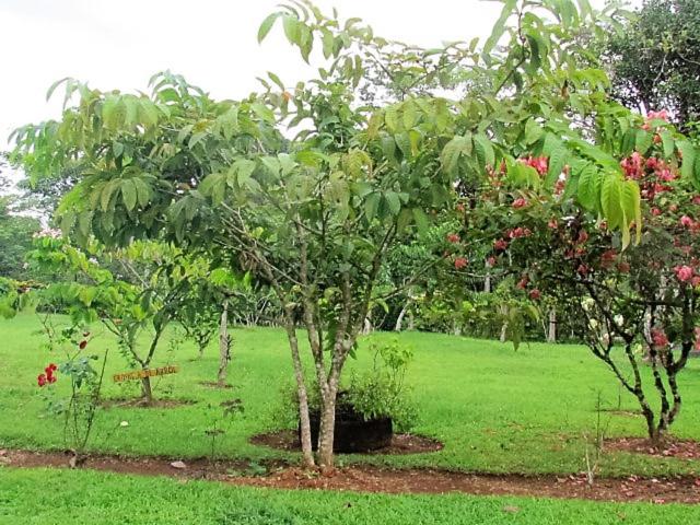 הוסטל Posada Rural Oasis