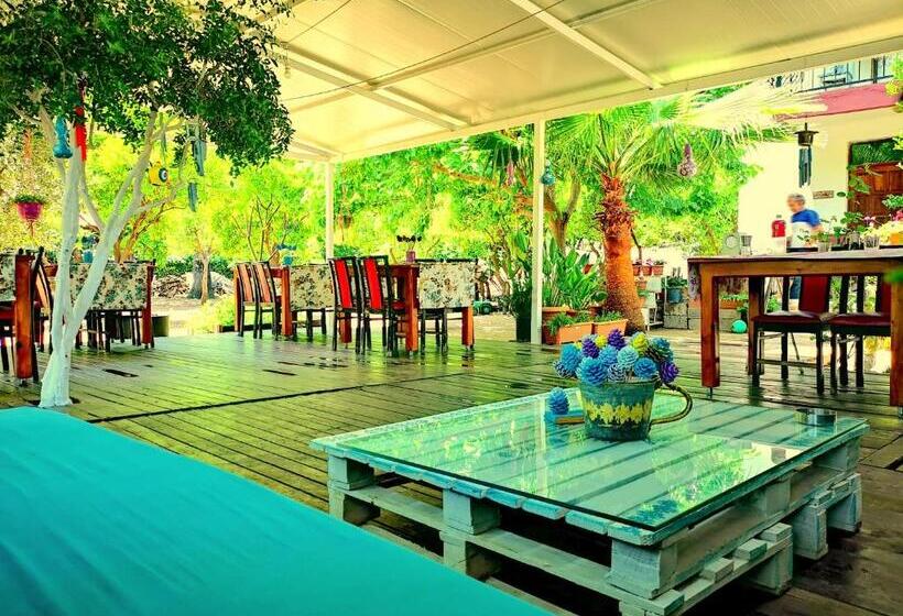 پانسیون Cemils Guest House