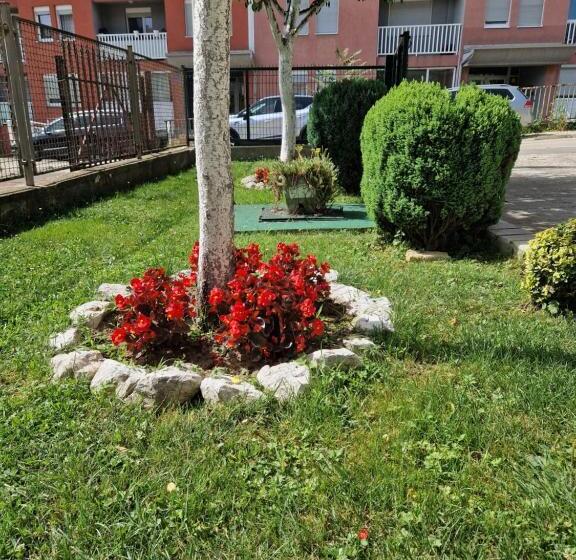 بنسيون Guesthouse Irac