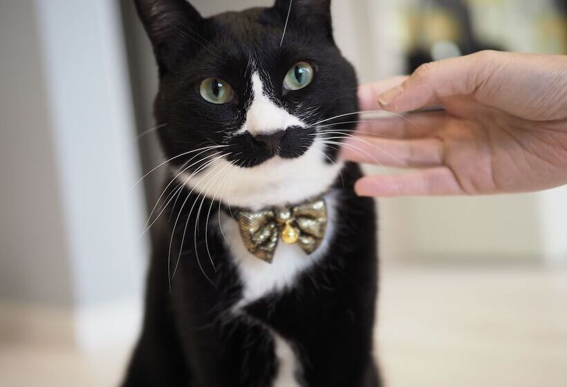 بنسيون Guesthouse Ori Ori