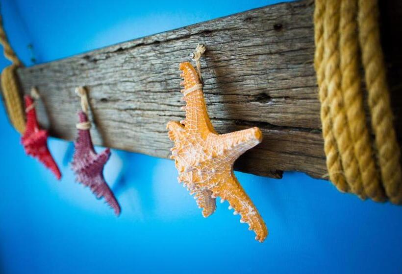 بنسيون Hard Rock Vip Guest House